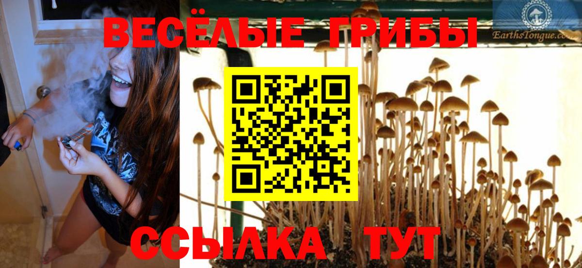 Галлюциногенные грибы Cubensis Кубинка